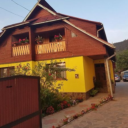 Camere De Inchiriat Floarea Reginei Viseu de Sus Exterior photo