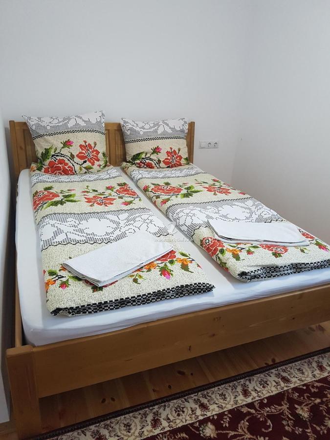 Camere De Inchiriat Floarea Reginei Viseu de Sus Exterior photo